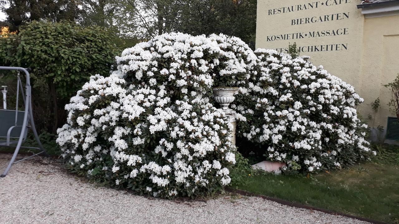 באד אלסטר Hotel Quellenpark מראה חיצוני תמונה